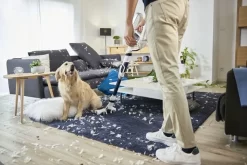 Rowenta RH9474, Trocken, Zyklonal, 82 DB, Beutellos, Orange, Weiß, Tätigkeit -Philips Haushaltsgeräte Verkaufsgeschäft c43130de6d90f40691762650a58634bf