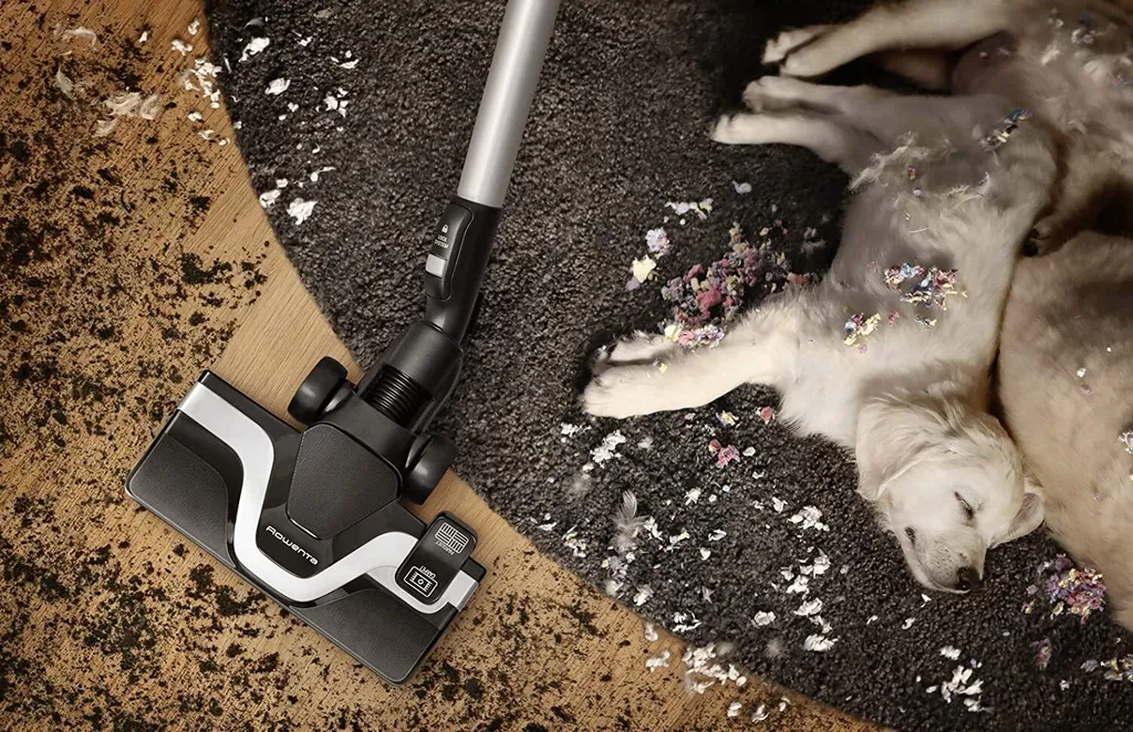 Rowenta RO7690 Silence Force Cyclonic Animal | Beutelloser Staubsauger | Vacuum-Cleaner | Sehr Leise | 2,5L Staubvolumen | Tierhaare | Auto | Schwarz/Blau 5 Rowenta RO7690 Silence Force Cyclonic Animal | Beutelloser Staubsauger | Vacuum-Cleaner | Sehr Leise | 2,5L Staubvolumen | Tierhaare | Auto | Schwarz/Blau – Bild 5